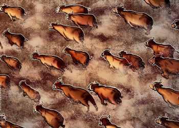 5 signs that an altcoin bull run could be underway