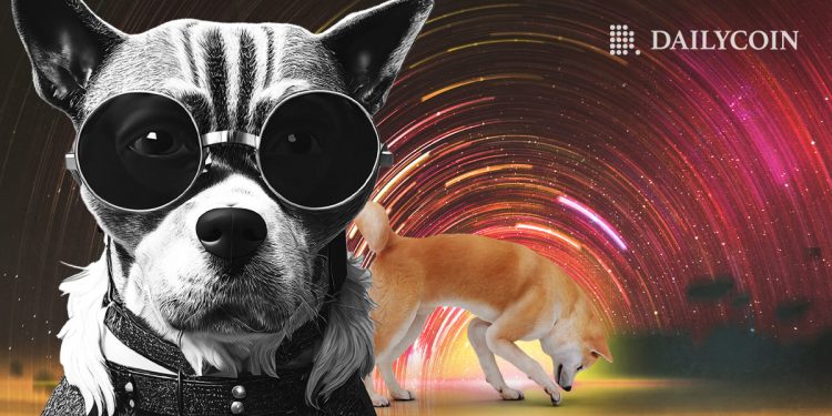 Shiba Inu (SHIB) Gợi ý nhà phát triển chính vào ngày ra mắt mới cho Shibarium