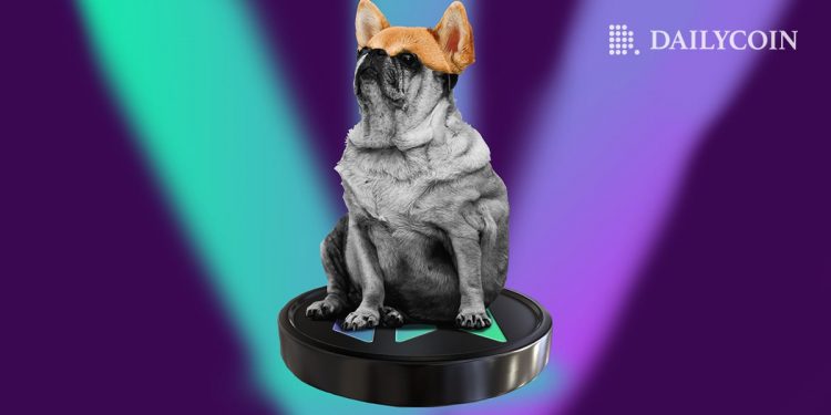 Shiba Inu (SHIB) Clone Memecoin Bonk (BONK) bước vào để cứu Solana (SOL)