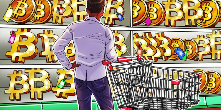 Bitcoin price hits new record high in Argentina