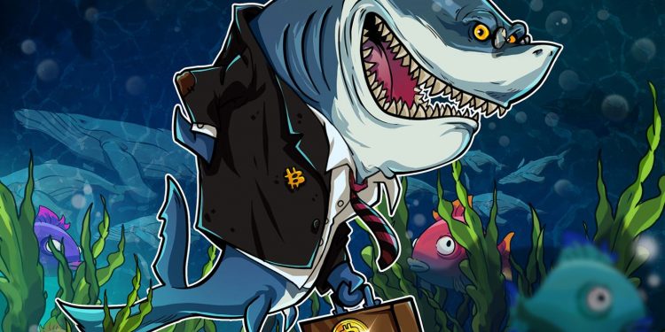 Các nhà đầu cơ Bitcoin đang chìm trên 88% túi BTC của họ - Nghiên cứu