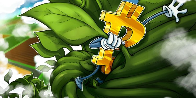 Bitcoin khởi động lại xu hướng tăng năm 2023 sau khi tăng giá BTC lên 26% - nghiên cứu