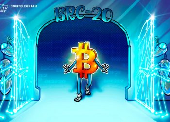 Token BRC-20 đang mang đến cơ hội mới cho người mua Bitcoin