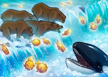 Cuộc đột kích của gấu là gì và cá voi sử dụng chúng như thế nào trong giao dịch tiền điện tử?