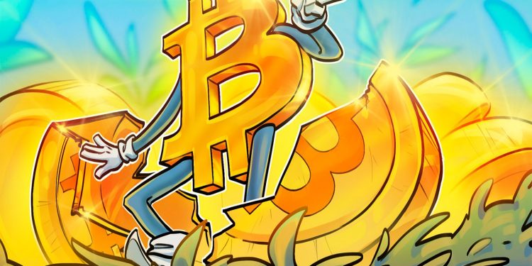 'Chiến lược tổng hợp là giảm một nửa Bitcoin' - Tác giả và nhà phân tích