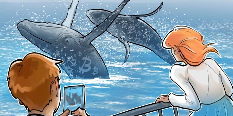 Bitcoin profit-taking underway as ‘big whales’ continue sell-off