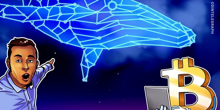 Bitcoin whale’s $9.6B transfer, GENIUS Act spark correction concerns