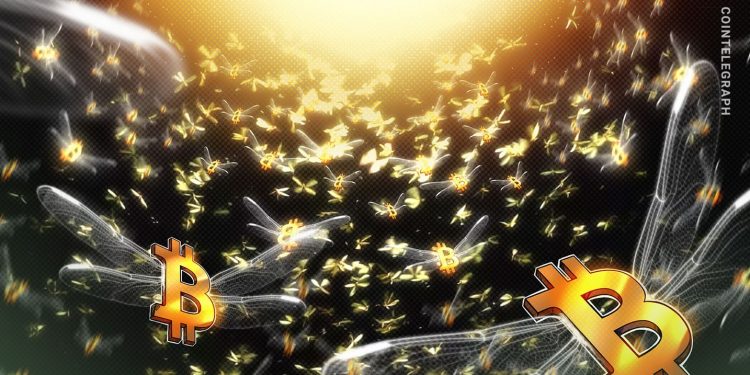 Bitcoin hits $113.8K all-time high as liquidity influx backs BTC price discovery