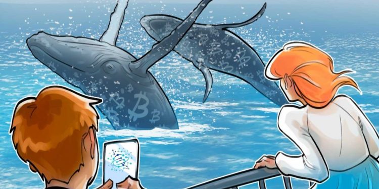 Satoshi-era Bitcoin whale shifts second 40K BTC pile to Galaxy Digital