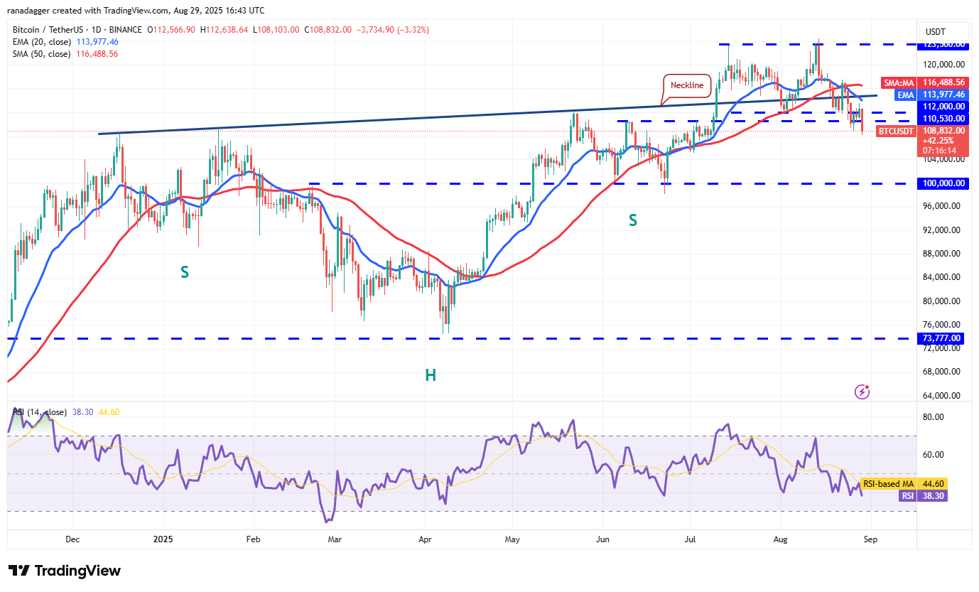 0198f6e9-d270-77af-b4b2-9907e80a9897 Dogecoin, Cryptocurrencies, Bitcoin Price, Christmas, XRP, Markets, Cryptocurrency Exchange, Cardano, Price Analysis, Binance Coin, Chainlink, Market Analysis, Ether Price, Solana, Ethereum ETF, Bitcoin ETF, ETF, SUI