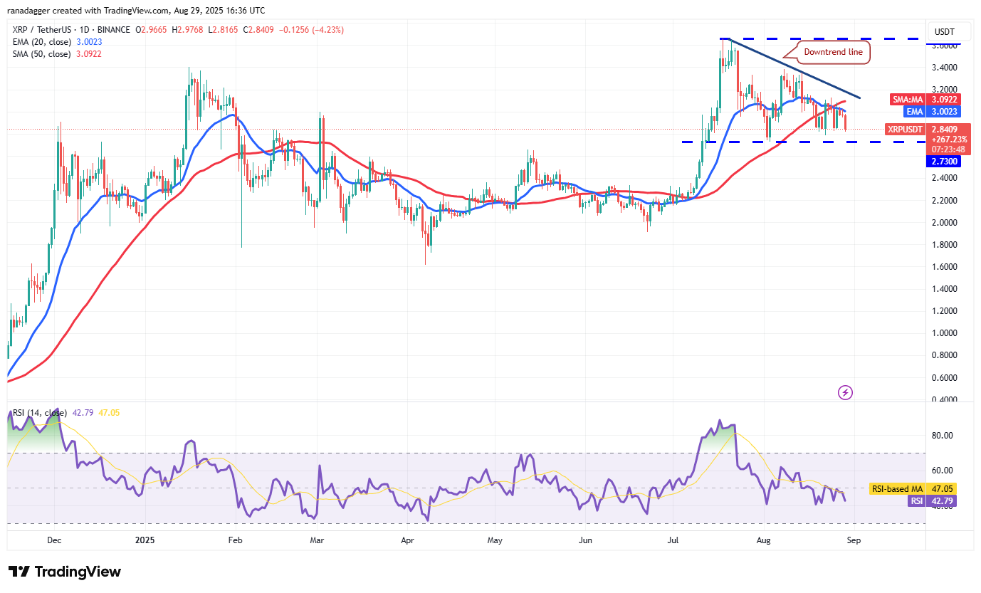 0198f6eb-430f-7a3e-ada8-85968b26f86a Dogecoin, Cryptocurrencies, Bitcoin Price, Christmas, XRP, Markets, Cryptocurrency Exchange, Cardano, Price Analysis, Binance Coin, Chainlink, Market Analysis, Ether Price, Solana, Ethereum ETF, Bitcoin ETF, ETF, SUI