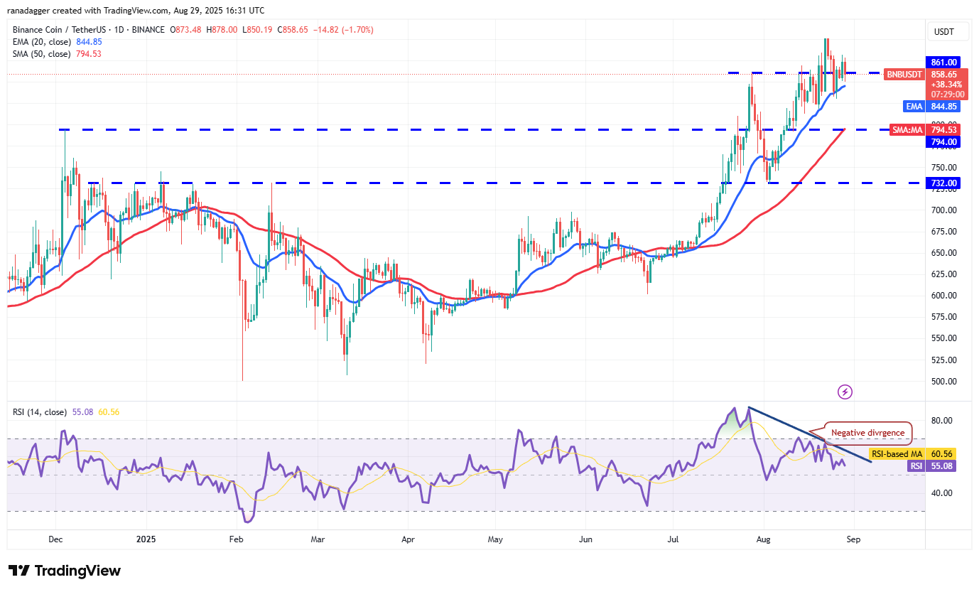 0198f6eb-e437-7b9a-8e4c-5627940cec67 Dogecoin, Cryptocurrencies, Bitcoin Price, Christmas, XRP, Markets, Cryptocurrency Exchange, Cardano, Price Analysis, Binance Coin, Chainlink, Market Analysis, Ether Price, Solana, Ethereum ETF, Bitcoin ETF, ETF, SUI