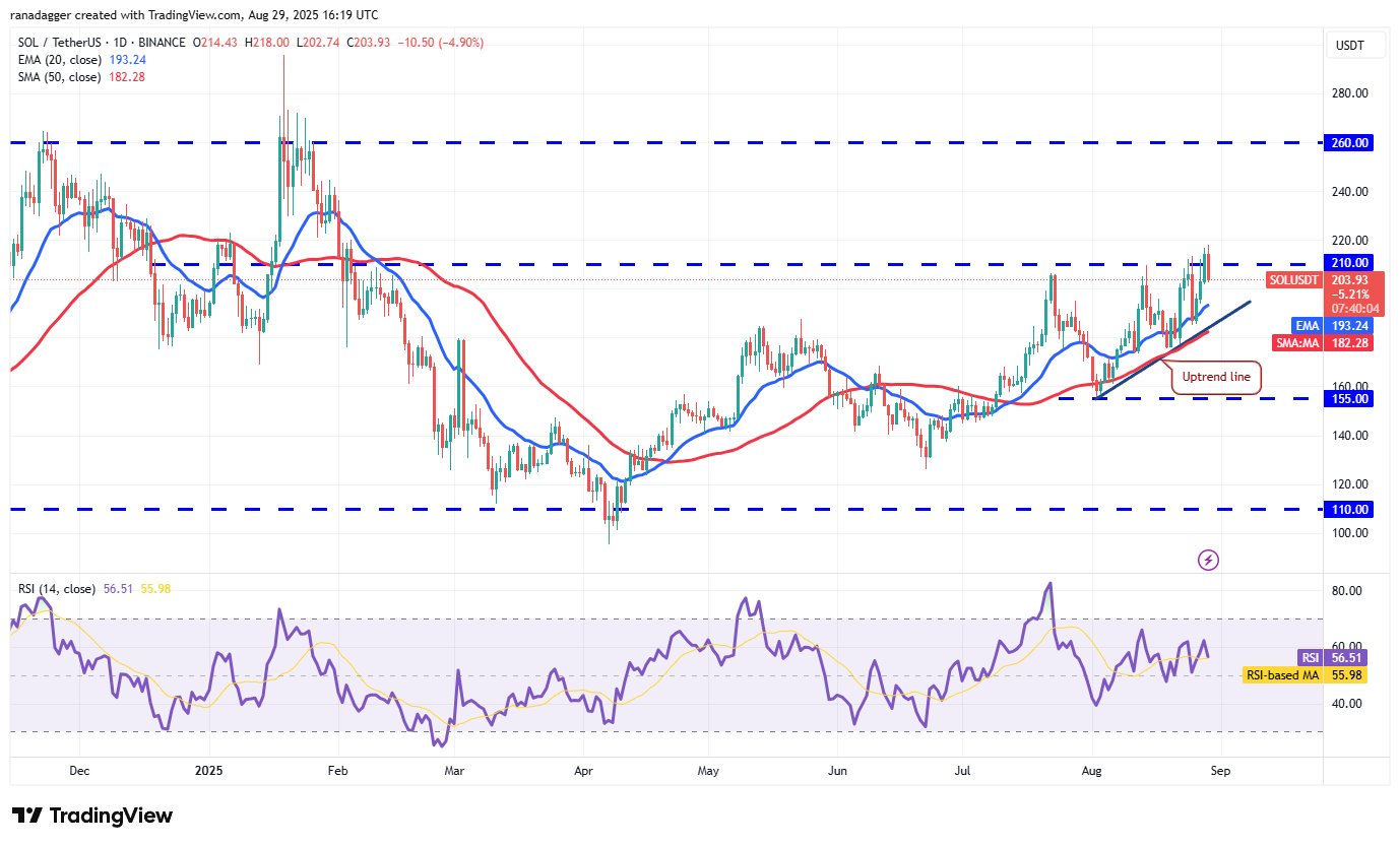 0198f6ec-8f0a-728d-b537-4f25d1435408 Dogecoin, Cryptocurrencies, Bitcoin Price, Christmas, XRP, Markets, Cryptocurrency Exchange, Cardano, Price Analysis, Binance Coin, Chainlink, Market Analysis, Ether Price, Solana, Ethereum ETF, Bitcoin ETF, ETF, SUI