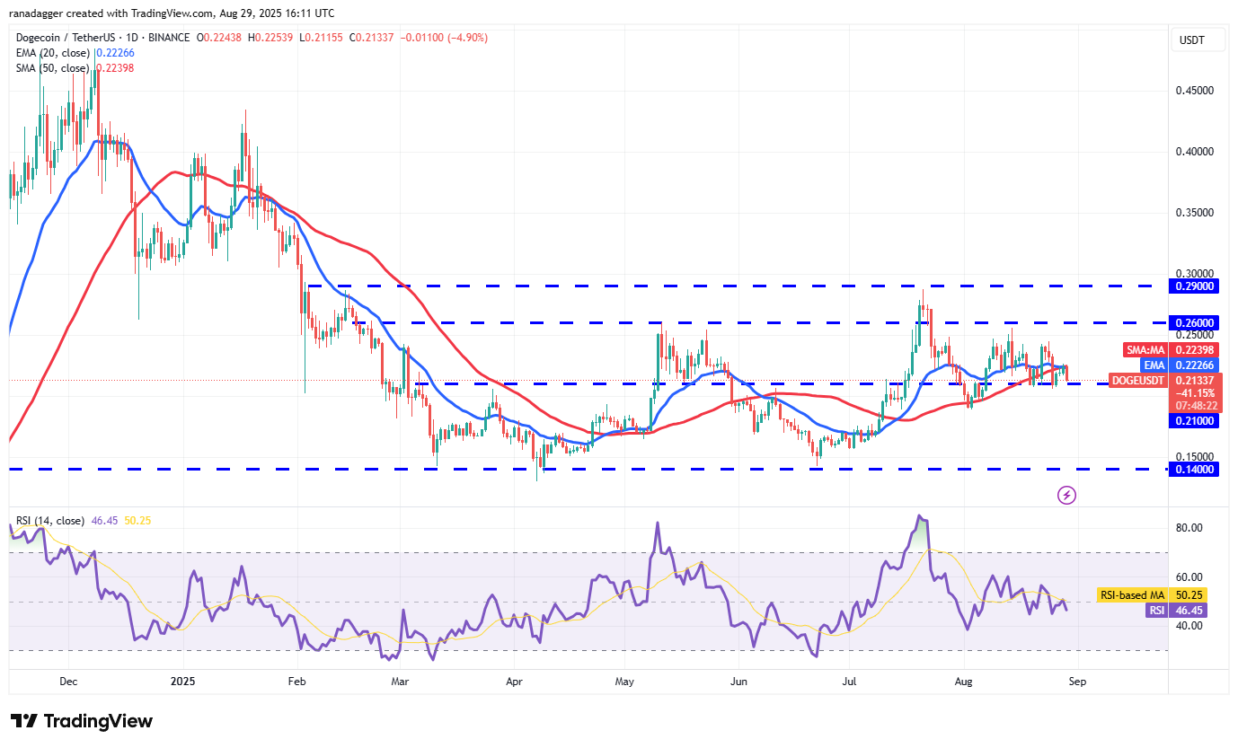 0198f6ed-f6bf-7e59-abe7-1b2f5b7fee06 Dogecoin, Cryptocurrencies, Bitcoin Price, Christmas, XRP, Markets, Cryptocurrency Exchange, Cardano, Price Analysis, Binance Coin, Chainlink, Market Analysis, Ether Price, Solana, Ethereum ETF, Bitcoin ETF, ETF, SUI