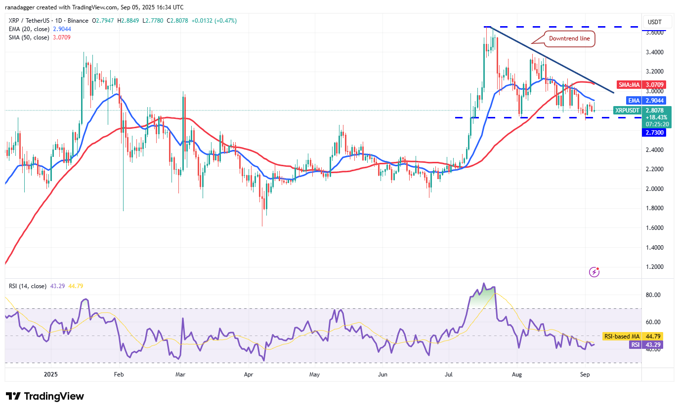 01991ad8-5bc5-7e01-a2e2-3e0a96e5753a Dogecoin, Cryptocurrencies, Bitcoin Price, XRP, Markets, Cryptocurrency Exchange, Cardano, Price Analysis, Binance Coin, Chainlink, Market Analysis, Ether Price, Solana, Bitcoin ETF, ETF, SUI