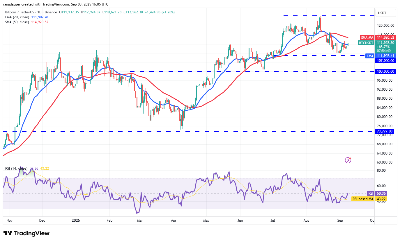 01992a2f-9d68-7fdf-8238-89d9f9a24565 Dogecoin, Cryptocurrencies, Dollar, Bitcoin Price, XRP, Markets, Cryptocurrency Exchange, Cardano, Price Analysis, Binance Coin, Market Analysis, Ether Price, Solana, MicroStrategy, S&P 500, Whale, Michael Saylor