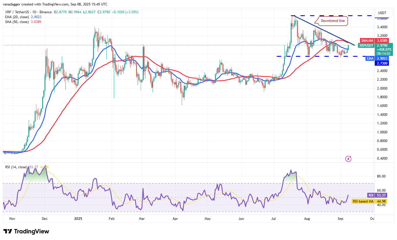 01992a30-eec5-70d6-82b1-06a825f9f22f Dogecoin, Cryptocurrencies, Dollar, Bitcoin Price, XRP, Markets, Cryptocurrency Exchange, Cardano, Price Analysis, Binance Coin, Market Analysis, Ether Price, Solana, MicroStrategy, S&P 500, Whale, Michael Saylor