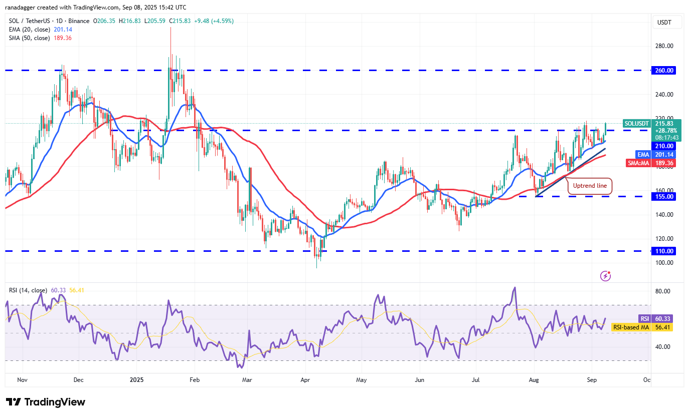 01992a32-52e4-7459-86ba-9a42a577f6b1 Dogecoin, Cryptocurrencies, Dollar, Bitcoin Price, XRP, Markets, Cryptocurrency Exchange, Cardano, Price Analysis, Binance Coin, Market Analysis, Ether Price, Solana, MicroStrategy, S&P 500, Whale, Michael Saylor