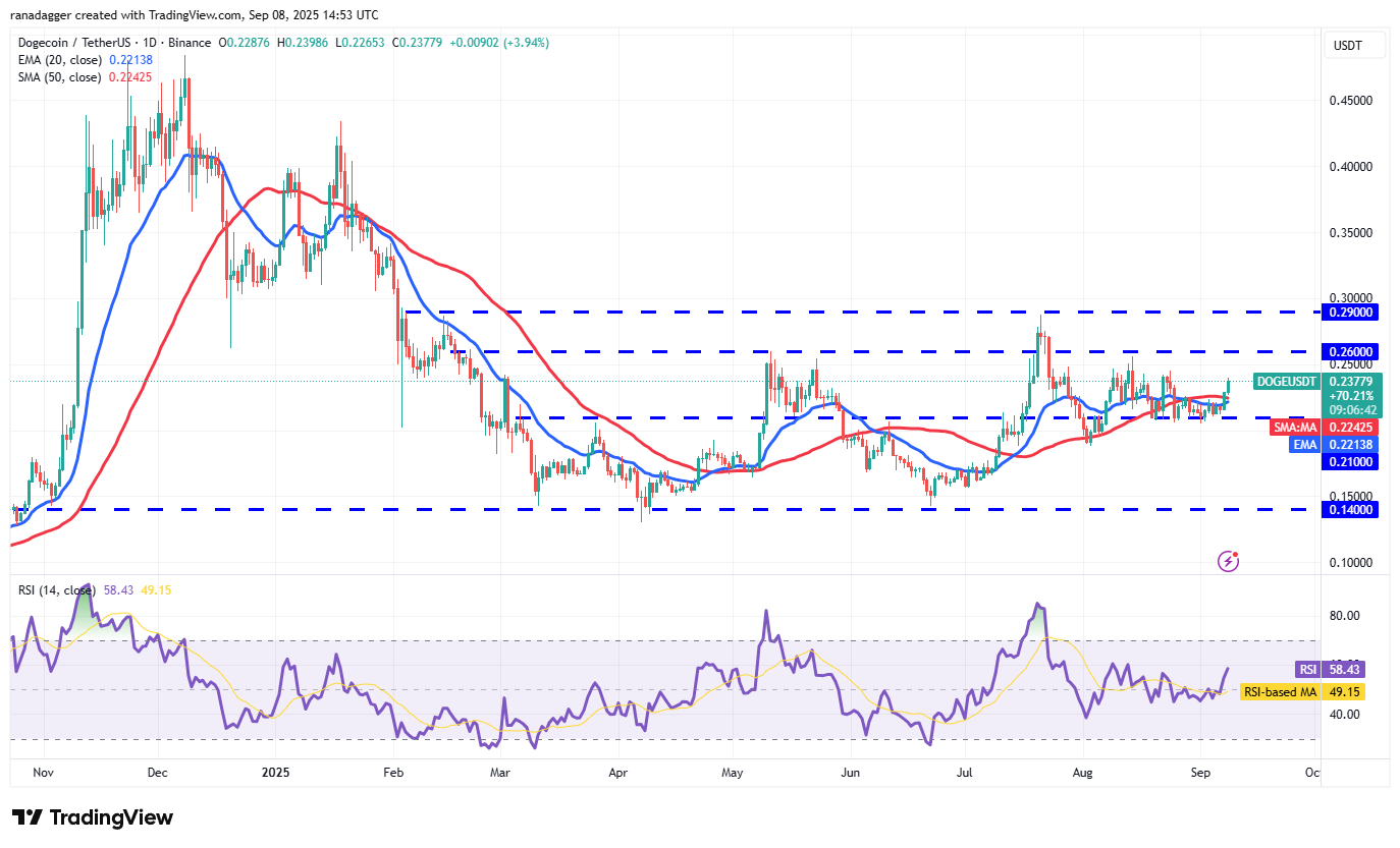 01992a33-133e-7e7e-b3ee-7c8f1f266940 Dogecoin, Cryptocurrencies, Dollar, Bitcoin Price, XRP, Markets, Cryptocurrency Exchange, Cardano, Price Analysis, Binance Coin, Market Analysis, Ether Price, Solana, MicroStrategy, S&P 500, Whale, Michael Saylor