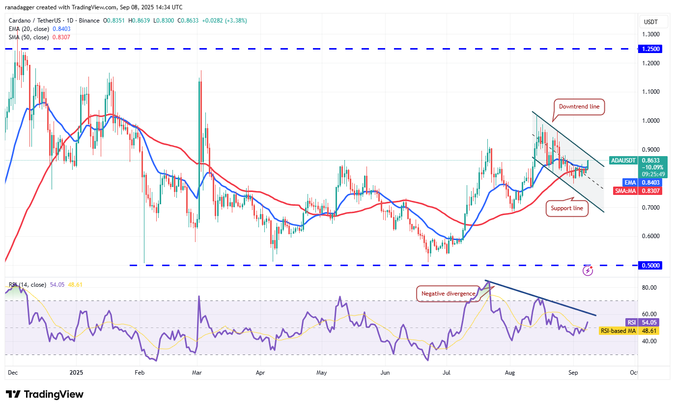 01992a33-e058-7bae-9dbe-45ea160b77aa Dogecoin, Cryptocurrencies, Dollar, Bitcoin Price, XRP, Markets, Cryptocurrency Exchange, Cardano, Price Analysis, Binance Coin, Market Analysis, Ether Price, Solana, MicroStrategy, S&P 500, Whale, Michael Saylor