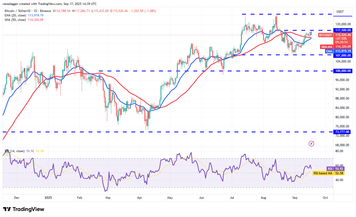 01995851-440c-70c7-8fe8-71a997b80d47 Dogecoin, Cryptocurrencies, Federal Reserve, Bitcoin Price, XRP, Markets, Cryptocurrency Exchange, Interest Rate, Tom Lee, Cardano, Price Analysis, Binance Coin, Chainlink, Fundstrat, Market Analysis, Ether Price, Solana, SUI