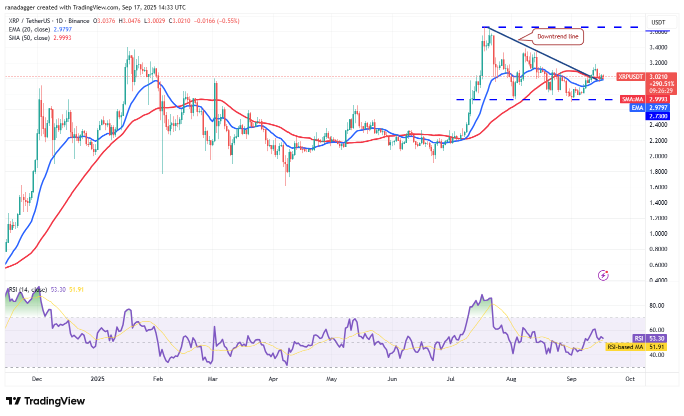 01995852-ba6a-7b2c-a3af-3f6fb965173f Dogecoin, Cryptocurrencies, Federal Reserve, Bitcoin Price, XRP, Markets, Cryptocurrency Exchange, Interest Rate, Tom Lee, Cardano, Price Analysis, Binance Coin, Chainlink, Fundstrat, Market Analysis, Ether Price, Solana, SUI
