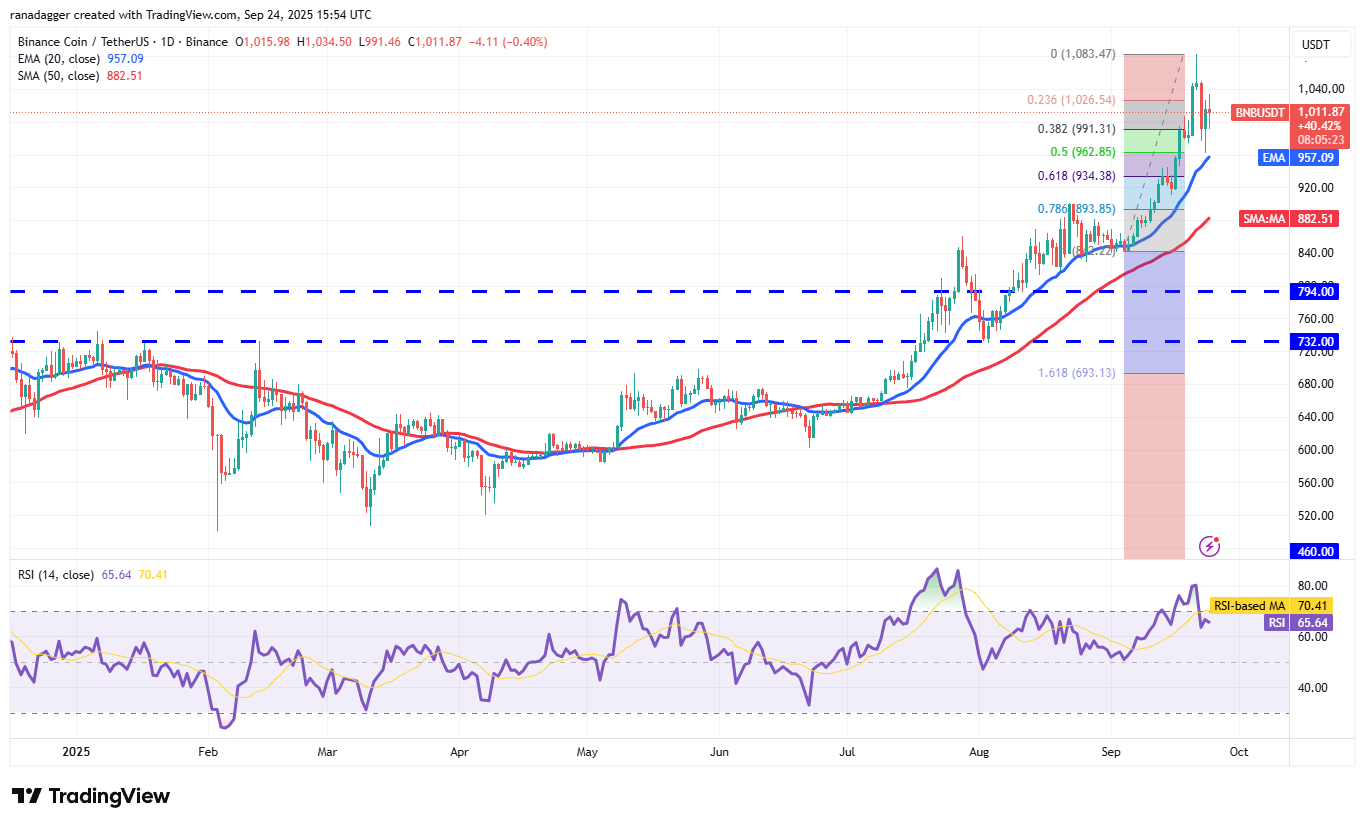 01997c9f-1d40-738c-9af7-d6c35dd3fbf0 Cryptocurrencies, Bitcoin Price, Markets, United States, Cryptocurrency Exchange, CNBC, Price Analysis, Market Analysis, MicroStrategy, Whale, Bitcoin ETF, ETF, Michael Saylor
