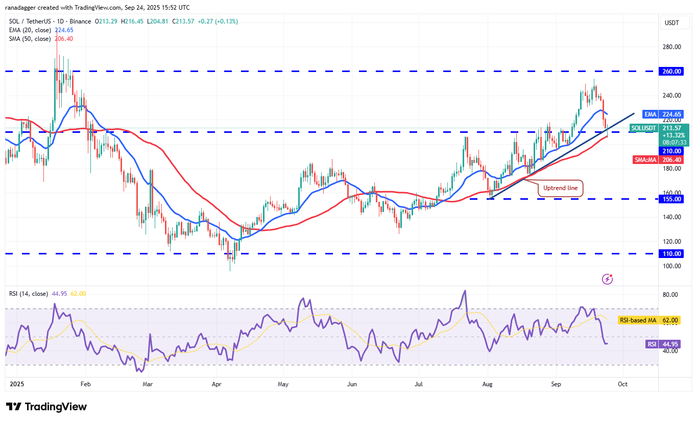 01997c9f-d82e-74ef-a687-8dfb31615661 Cryptocurrencies, Bitcoin Price, Markets, United States, Cryptocurrency Exchange, CNBC, Price Analysis, Market Analysis, MicroStrategy, Whale, Bitcoin ETF, ETF, Michael Saylor