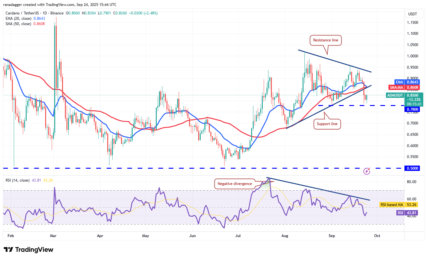 01997ca1-37ab-7bb8-97cb-18a68e0be784 Cryptocurrencies, Bitcoin Price, Markets, United States, Cryptocurrency Exchange, CNBC, Price Analysis, Market Analysis, MicroStrategy, Whale, Bitcoin ETF, ETF, Michael Saylor