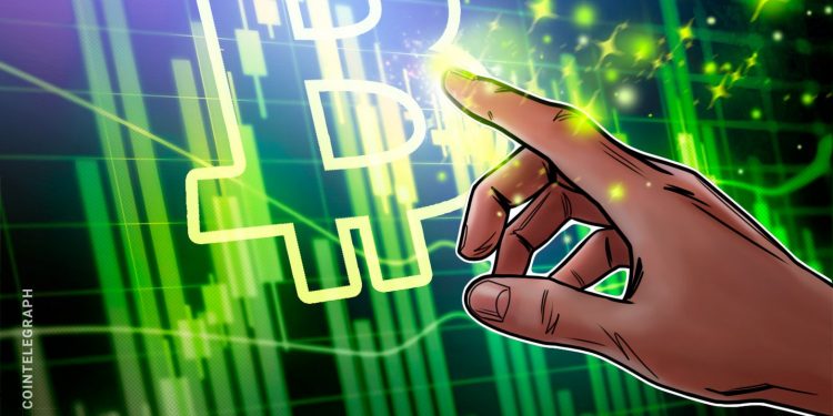 48 new Bitcoin treasuries popped up in just 3 months: Bitwise