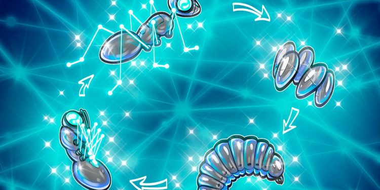 ‘Very likely’ Bitcoin cycle will continue in some form: Gemini exec