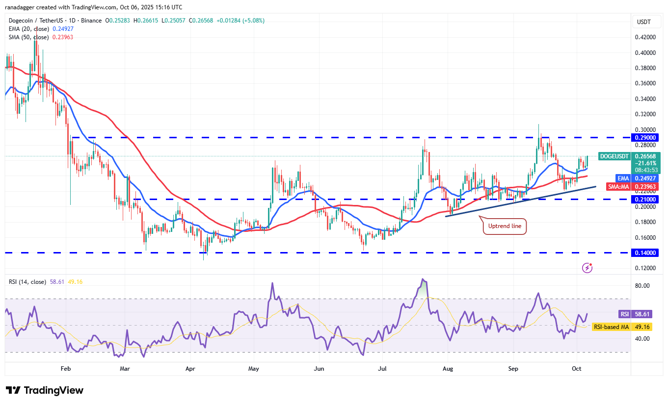 0199ba9b-4875-74a9-b8b4-b7064395b086 Wall Street, Dogecoin, Cryptocurrencies, Dollar, Banks, Gold, Bitcoin Price, XRP, Markets, United States, Cryptocurrency Exchange, Citi, Price Analysis, Binance Coin, Market Analysis, Ether Price, Solana, S&P 500, Bitcoin ETF, ETF