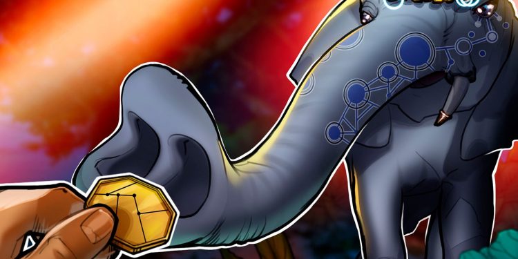 India slams ‘unbacked crypto’ amid RBI’s new digital currency plans