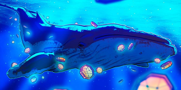 $11B Bitcoin whale bets on BTC, ETH correction with $900M shorts