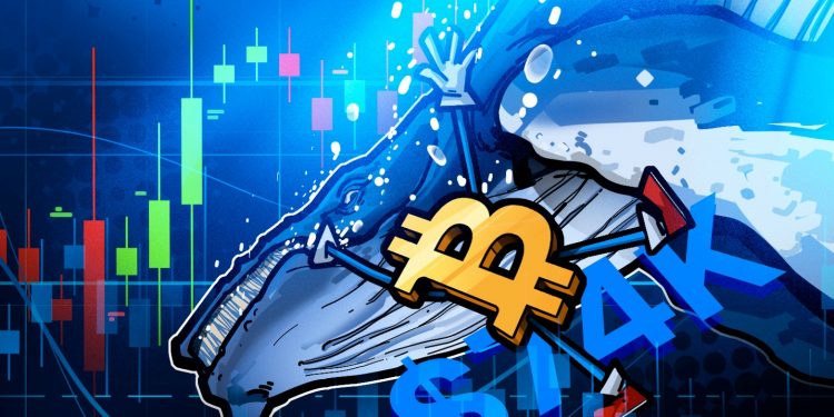 Bitcoin to $74K? Hyperliquid whale opens new 1,240 BTC short