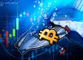 Bitcoin whale opens $235M BTC short, after netting $200M from market crash