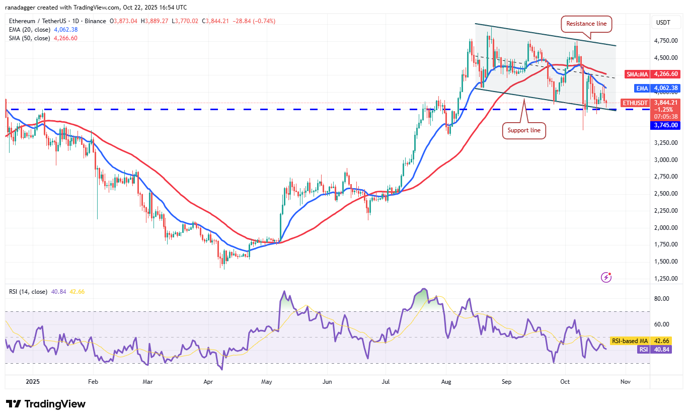 019a0cec-c328-7102-9451-e0c4b24bca3e Dogecoin, Cryptocurrencies, Stellar, Bitcoin Price, XRP, Markets, Cryptocurrency Exchange, Cardano, Price Analysis, Chainlink, Market Analysis, Ether Price, Solana, BNB