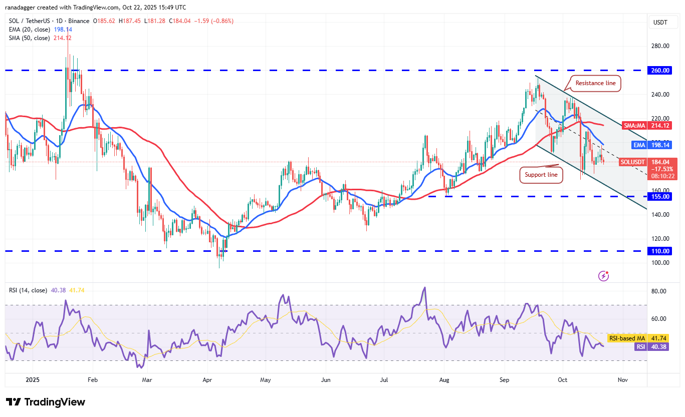 019a0cef-1db2-7624-a819-0edae5a5bf09 Dogecoin, Cryptocurrencies, Stellar, Bitcoin Price, XRP, Markets, Cryptocurrency Exchange, Cardano, Price Analysis, Chainlink, Market Analysis, Ether Price, Solana, BNB