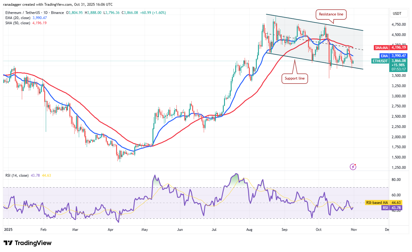 019a3b27-1be2-71d2-925b-114c86e0e7f1