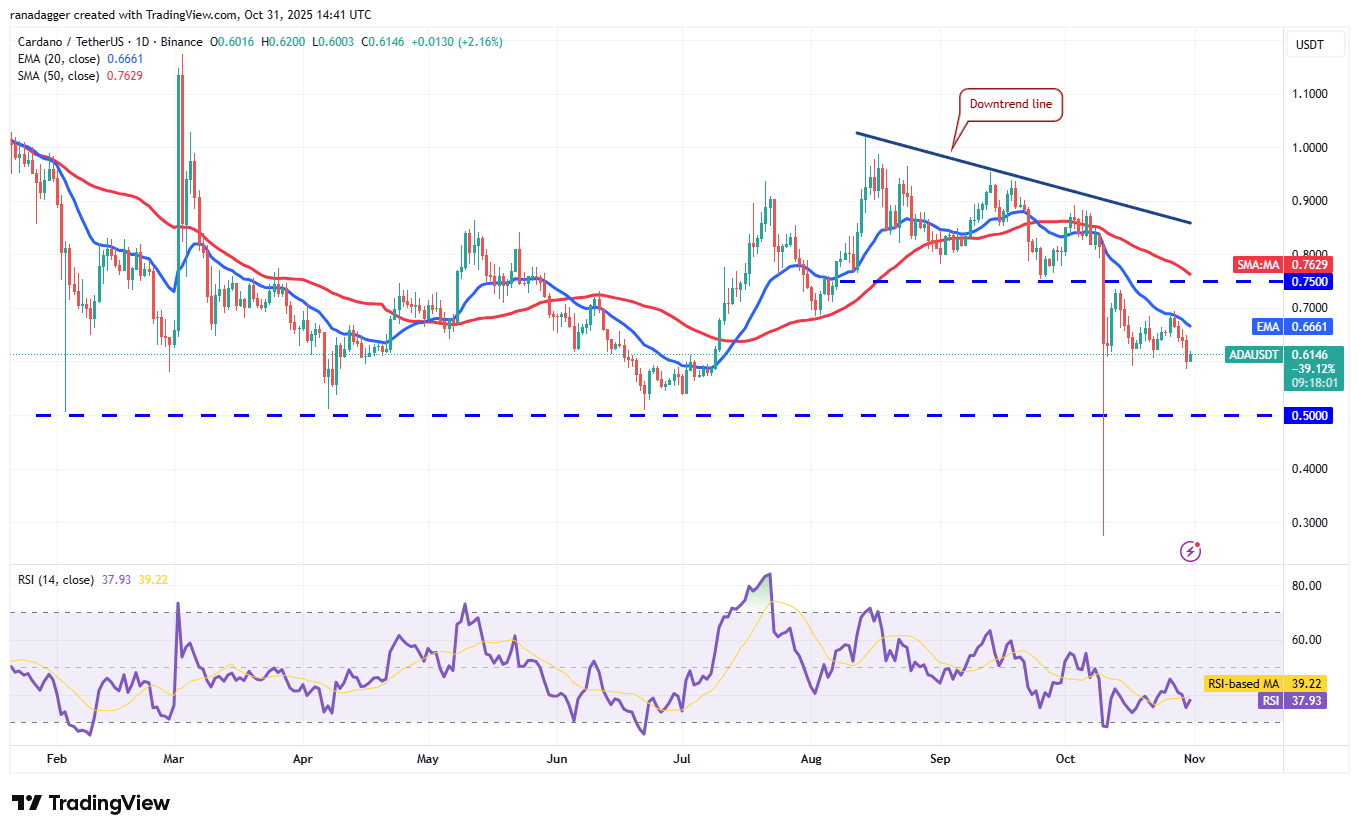 019a3b27-2e06-773e-a75f-db752b326b1b