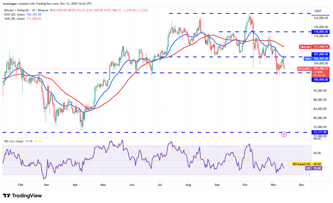 019a7904-ca48-78df-a22b-133c24b8a2b6