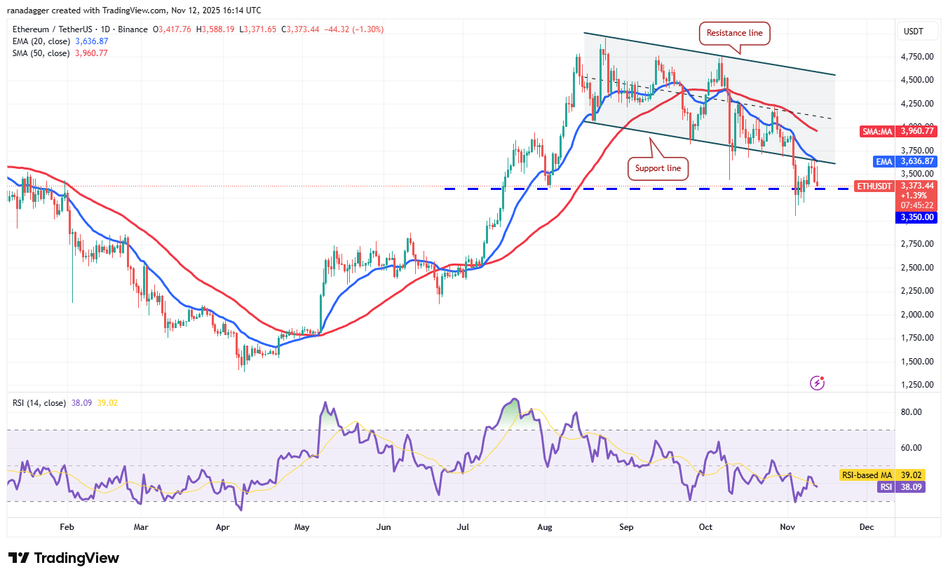 019a7904-ce48-741c-915d-88be2396462d