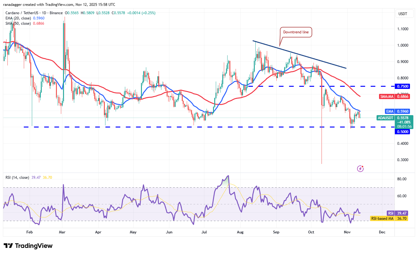 019a7904-dfb1-72cf-96eb-9d7f3425b380