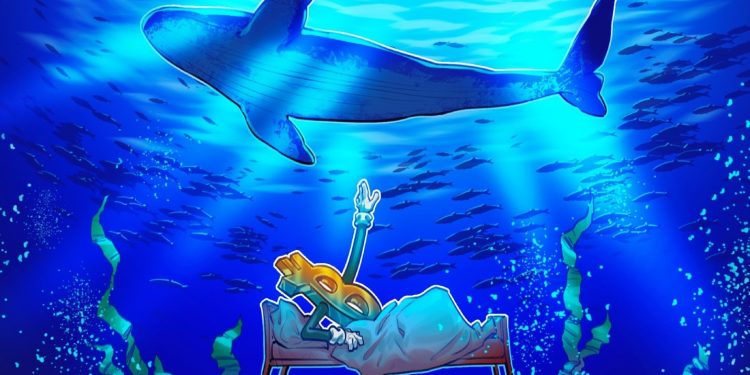 Stay calm: Bitcoin whales are selling, but it’s no ‘sudden exodus’