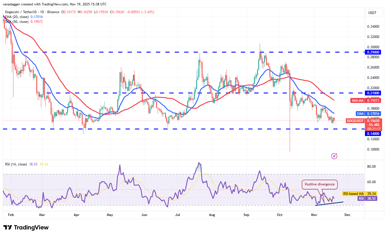 019a9ce2-1f88-7b98-a1e9-4bed29db35b6