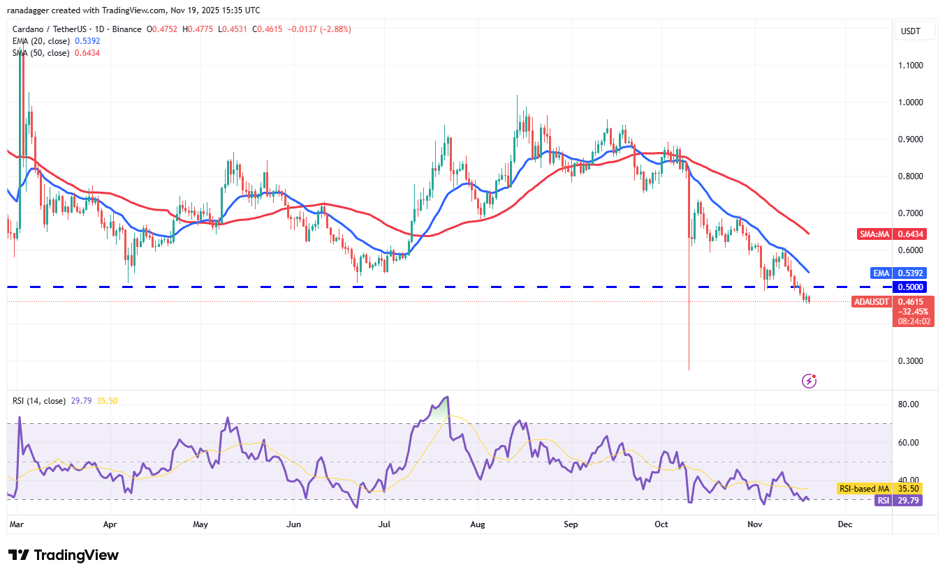 019a9ce2-22d7-7e24-8791-787c1bedbb31