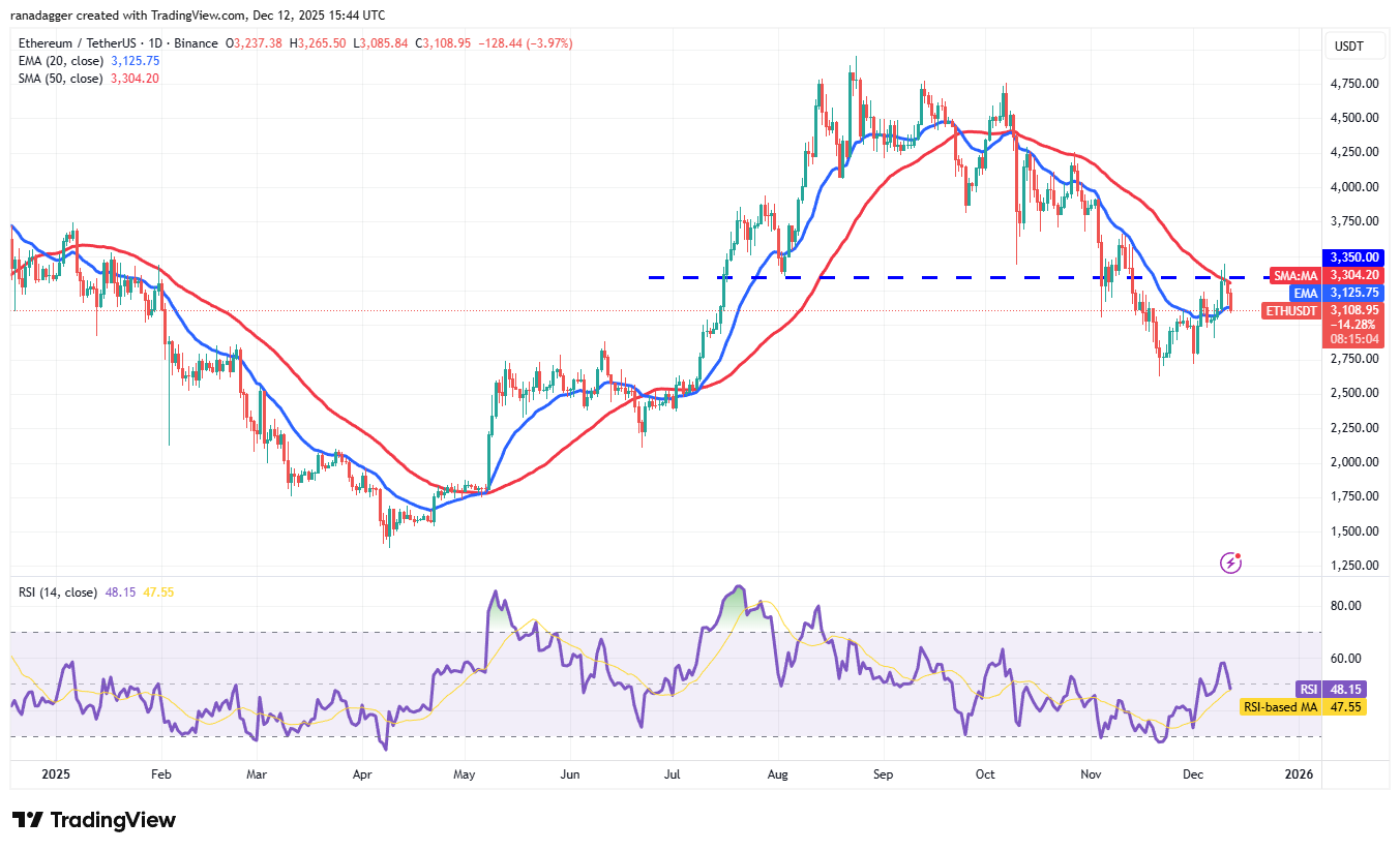 019b1387-963f-7dfa-9b58-64aba642280b