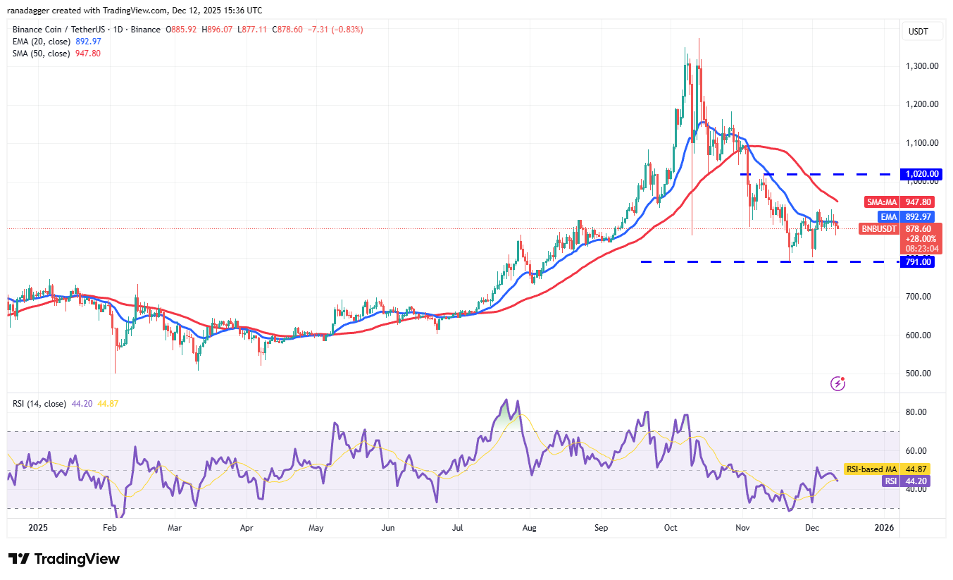 019b1387-99b8-709d-8576-da47102d37f3