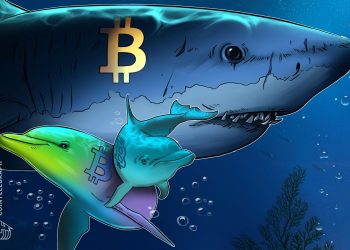 Bitcoin sharks stack at the fastest pace in 13 years, with BTC down 30%