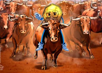 Crypto has everything needed for a bull market, so why is the market down?